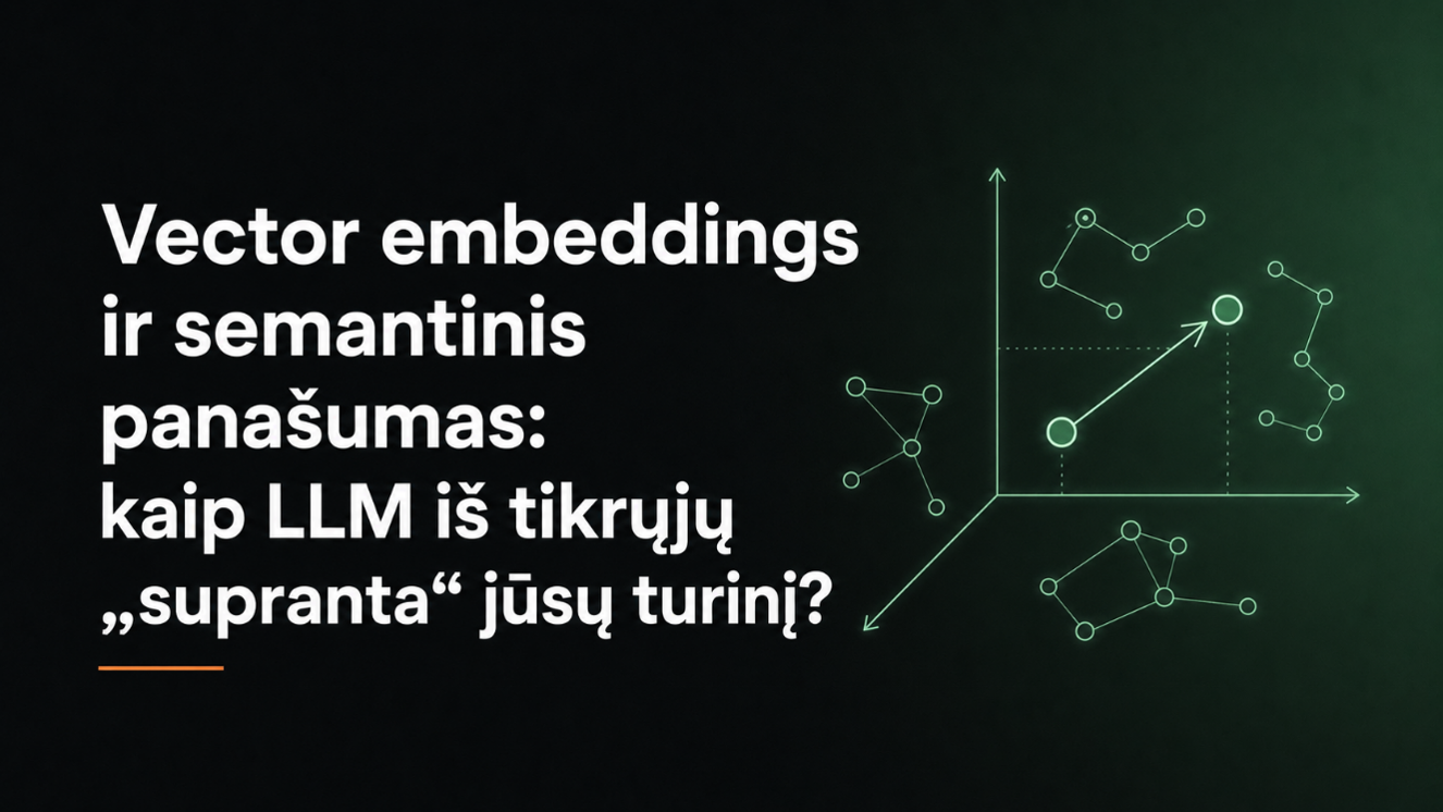 Vector embeddings ir semantinis panašumas: kaip LLM iš tikrųjų „supranta“ jūsų turinį?